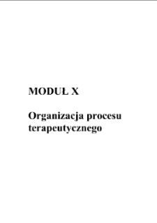 Organizacja procesu terapeutycznego